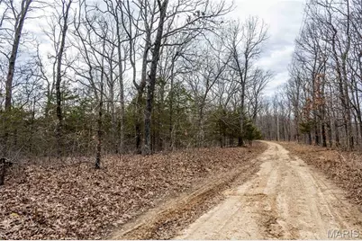 113 E Koester Springs Road, French Village, MO 63036 - Photo 21