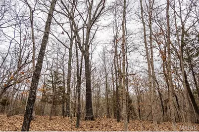 113 E Koester Springs Road, French Village, MO 63036 - Photo 13