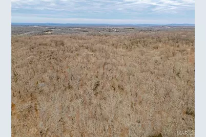 113 E Koester Springs Road, French Village, MO 63036 - Photo 49