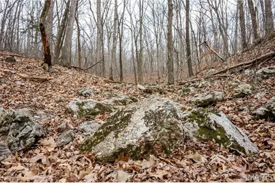 113 E Koester Springs Road, French Village, MO 63036 - Photo 29