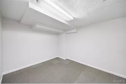 918 Nancy Carol Lane, Glendale, MO 63122 - Photo 35