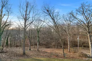 4662 Britcastle Dr, Unincorporated, MO 63128 - Photo 27