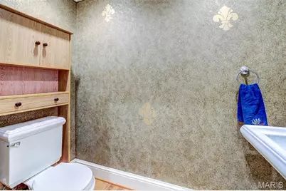 8161 Stratford Drive, Saint Louis, MO 63105 - Photo 27