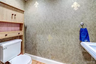 8161 Stratford Dr, Saint Louis, MO 63105 - Photo 27