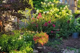 7435 Cornell Ave, Saint Louis, MO 63130 - Photo 33