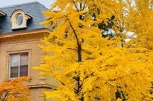 2846 Accomac St, Saint Louis, MO 63104 - Photo 41