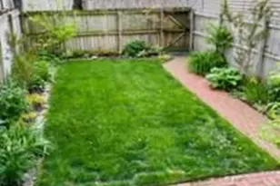 2846 Accomac St, Saint Louis, MO 63104 - Photo 35