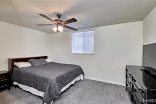 60 Sycamore Grove Dr, Troy, MO 63379 - Photo 57