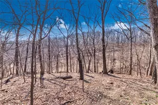 1570 Paradise Valley Dr, High Ridge, MO 63049 - Photo 51