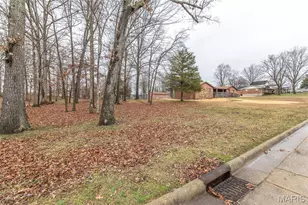 2305 Lee St, Poplar Bluff, MO 63901 - Photo 33