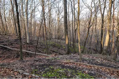 12178 Dogwood Drive, Holts Summit, MO 65043 - Photo 27