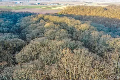 12178 Dogwood Drive, Holts Summit, MO 65043 - Photo 7