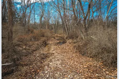 000 Lakeview Drive, Leslie, MO 63056 - Photo 23