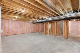 2620 Lyle Ave, Maplewood, MO 63143 - Photo 33