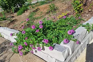 2620 Lyle Ave, Maplewood, MO 63143 - Photo 47