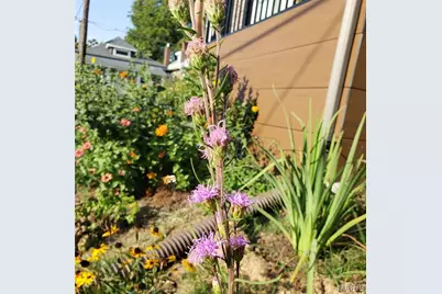 2620 Lyle Avenue, Maplewood, MO 63143 - Photo 41