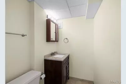 7544 Gannon Avenue, University City, MO 63130 - Photo 17