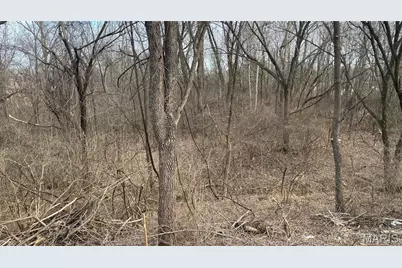 1133 Fain Drive, Saint Louis, MO 63125 - Photo 13