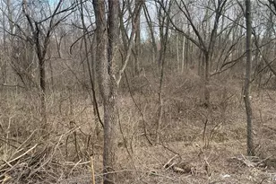 1133 Fain Dr, Saint Louis, MO 63125 - Photo 13