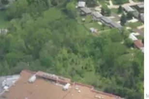 1133 Fain Dr, Saint Louis, MO 63125 - Photo 11