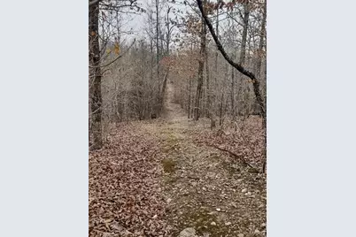 8850 State Highway Dd, Grovespring, MO 65713 - Photo 11