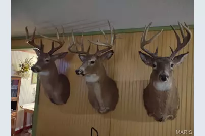 8850 State Highway Dd, Grovespring, MO 65713 - Photo 9