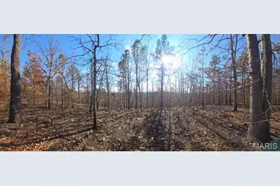 19-4.0-019-0 00-000-012.11000 Road, Potosi, MO 63664 - Photo 3