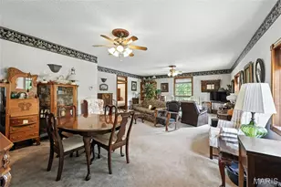 13 Pcr 351, Perryville, MO 63775 - Photo 31