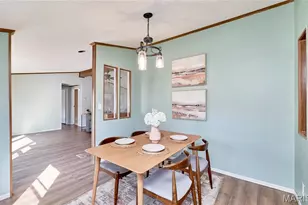 103 E Lark Dr, Fenton, MO 63026 - Photo 9