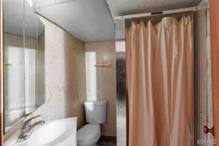 1208 Verl Pl, Saint Louis, MO 63133 - Photo 23