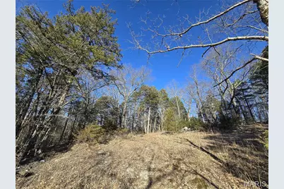 8490 Red Bud Lane, Dittmer, MO 63023 - Photo 15