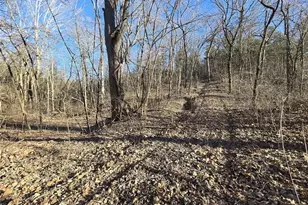 8490 Red Bud Ln, Dittmer, MO 63023 - Photo 39