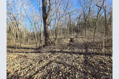 8490 Red Bud Lane, Dittmer, MO 63023 - Photo 37