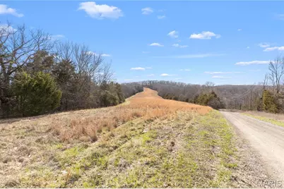 1733 Schluersburg Road, Augusta, MO 63332 - Photo 27