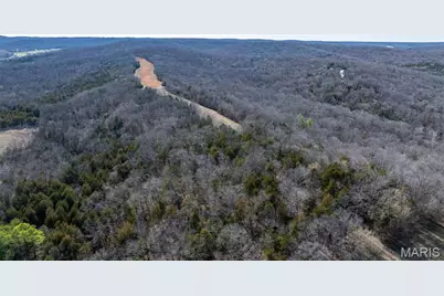 1733 Schluersburg Road, Augusta, MO 63332 - Photo 13