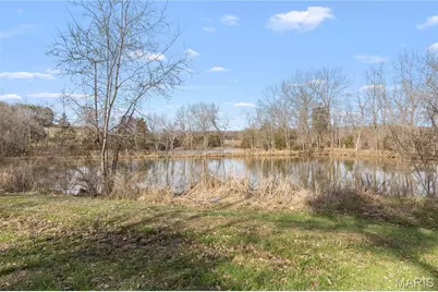 1733 Schluersburg Road, Augusta, MO 63332 - Photo 29