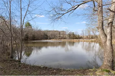 1733 Schluersburg Road, Augusta, MO 63332 - Photo 31