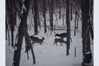 1733 Schluersburg Road, Augusta, MO 63332 - Photo 39