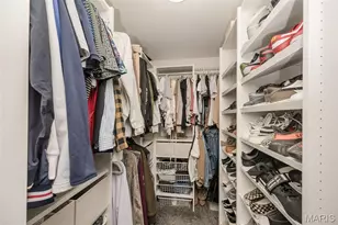 100 Edgewater Ct, Moscow Mills, MO 63362 - Photo 39