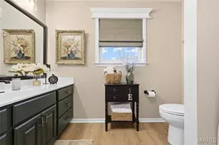 301 Meadow Chase Dr, Festus, MO 63028 - Photo 35