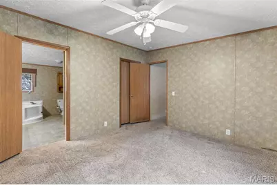 3900 Rice Road, Hillsboro, MO 63050 - Photo 21