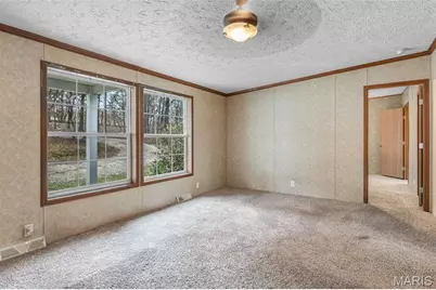 3900 Rice Road, Hillsboro, MO 63050 - Photo 9