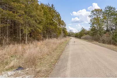 6111 Tall Cedars Road, Hillsboro, MO 63050 - Photo 7