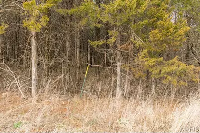 6111 Tall Cedars Road, Hillsboro, MO 63050 - Photo 9