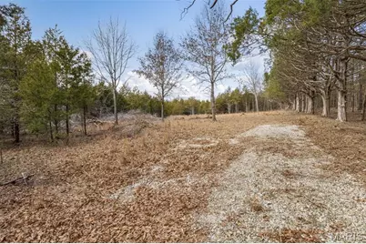 6111 Tall Cedars Road, Hillsboro, MO 63050 - Photo 3