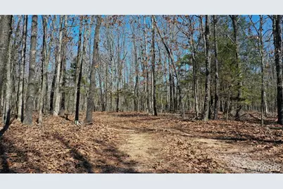 Tbd Highway K, Salem, MO 65560 - Photo 5