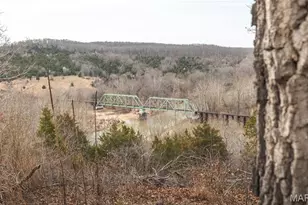 21303 Teardrop Rd, Devils Elbow, MO 65457 - Photo 39