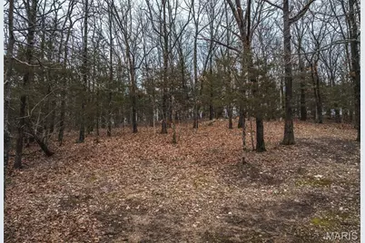 8184 Highway 185, Leslie, MO 63056 - Photo 7