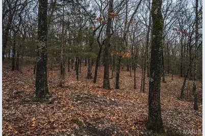 8184 Highway 185, Leslie, MO 63056 - Photo 3