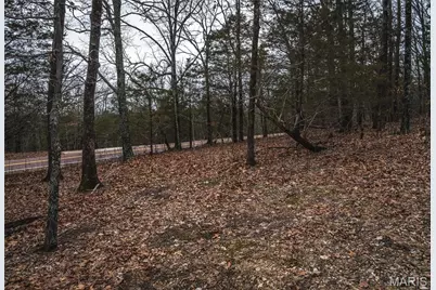 8184 Highway 185, Leslie, MO 63056 - Photo 5